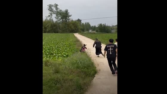 Child in toy car veers into vegetable farm in Chongqing
