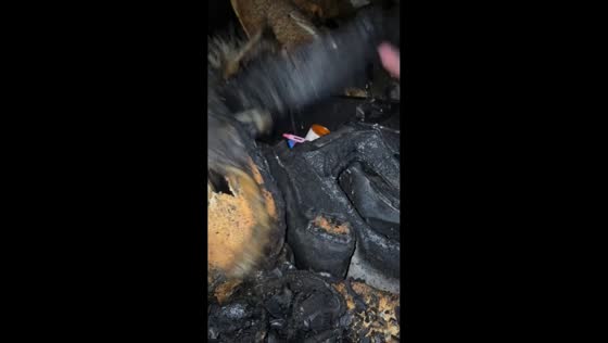 Unburned items found in burned car in Asheville, North Carolina, USA