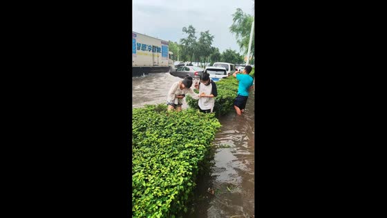 Heavy rainfall leaves streets underwater in Heilongjiang, China