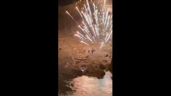 Firework frenzy: nighttime shenanigans by the water