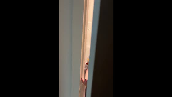 Pigeon perches on woman's head inside apartment in Hamburg, Germany