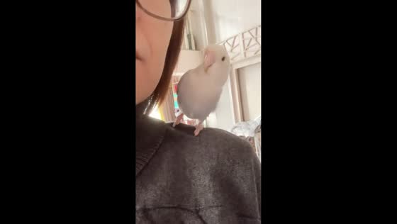 Bird and owner share affectionate moment in Fujian, China