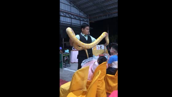 Magician stuns birthday party guests with surprise snake trick