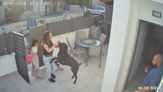 Excited dog causes birthday cake mishap at gate in Cyprus