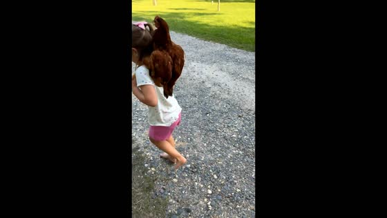 Girl carries calm chicken on her shoulders in DeRidder, Louisiana, USA