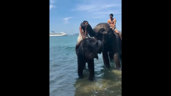 Woman kissed by elephant in Phuket, Thailand