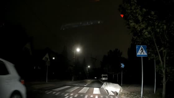 Wild boar hesitates to cross pedestrian lane in Warsaw, Poland
