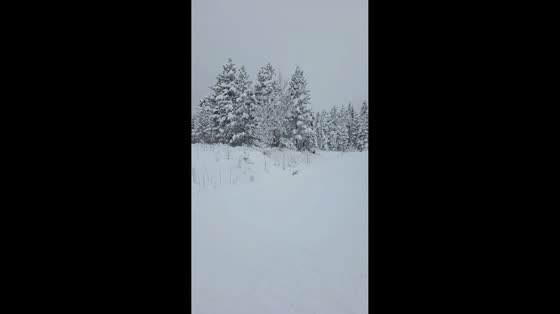 Snowmobiling struggle through towering snow in Bydalen, Sweden