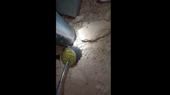 Massive nighttime mosquito swarms: Villa Constitución's challenging fishing expedition