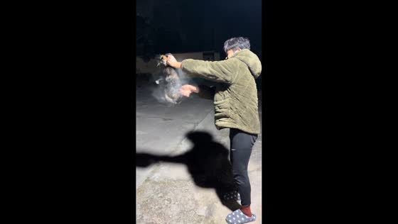 Man gently brushes cat outdoors in Shandong, China