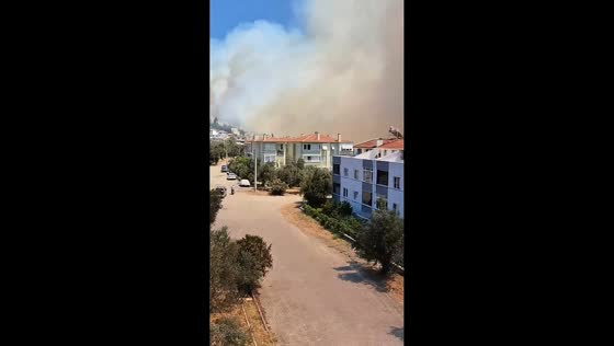 Thick smoke blankets as wildfire burns near residential areas in Altınoluk, Balıkesir, Turkey