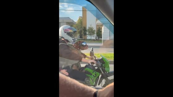 Dog rides motorcycle with owner in Moscow, Russia