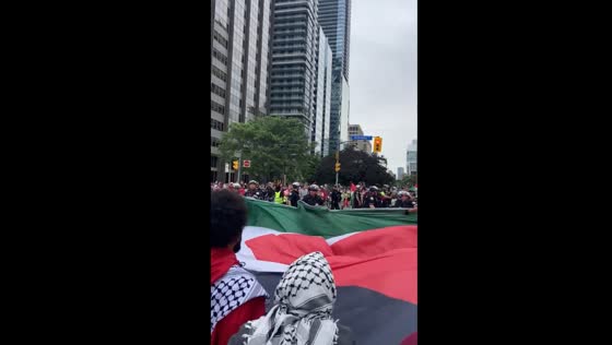 Toronto Police arrest protesters supporting Palestine, sparking outcry and further demonstrations