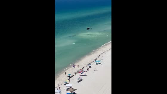 Sheriff helicopter warns of shark activity in Panama City Beach, Florida