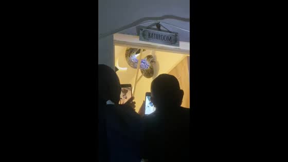 Python found hiding in bathroom ceiling after 14-hour search in Kartasura, Indonesia