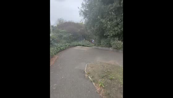 Cyclist crashes while attempting to ride down stairs in Gillingham, UK