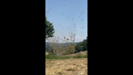 Hay whirlwind spins across harvested field in Kaçanik, Kosovo