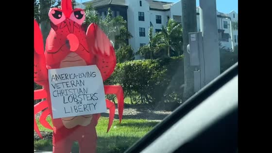 “No Kings” protests take place Florida, USA