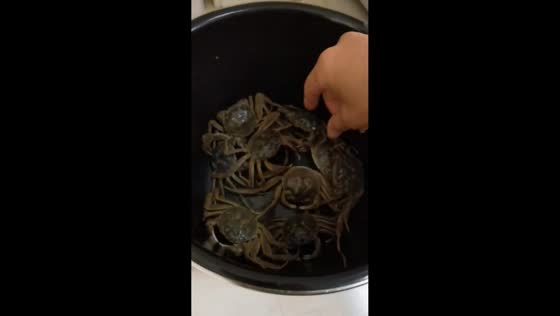 Crabs react in surprise inside a bucket in Jilin, China
