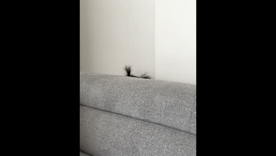 Toddler’s adorable hide and seek moment in Aksaray, Turkey