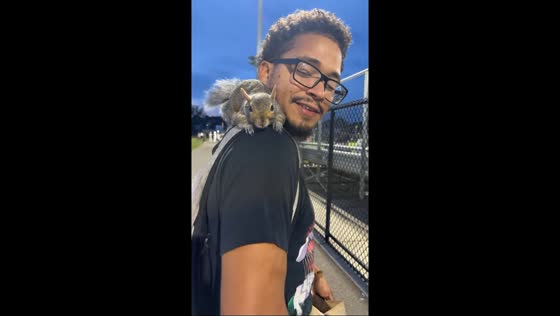 Man spotted with pet squirrel in Boston, Massachusetts, USA