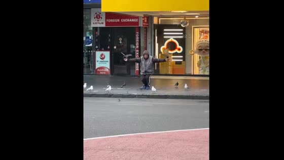 Person in Auckland performs slow movements with pigeons in hands