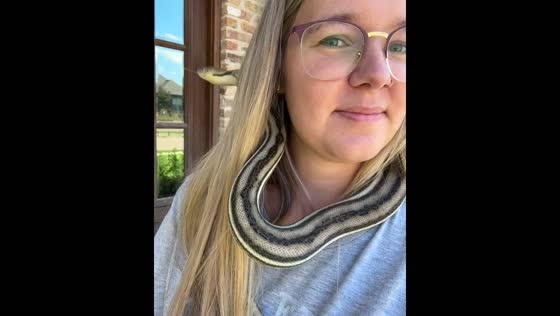 Snake pet plays with owner's hair in Gluckstadt, Mississippi