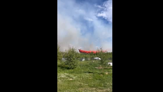 Community response: rapid action as wildfire threatens Talkeetna kennel