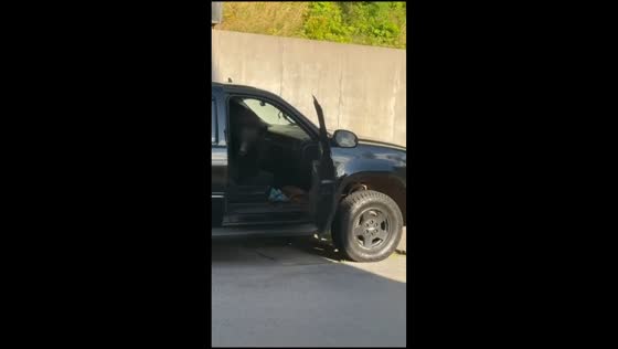 Black bear roams neighborhood and checks parked cars in Gatlinburg, Tennessee