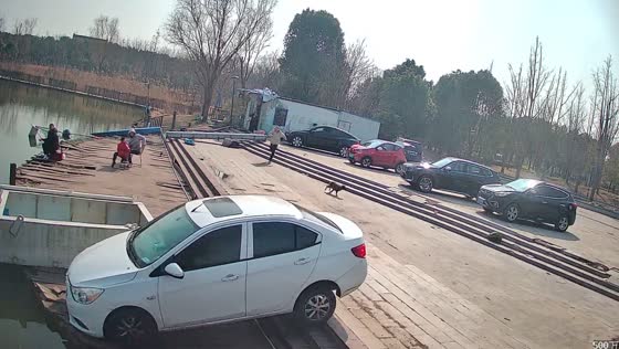 Parked car slides into fish pond in China