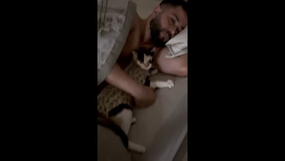 Cat cuddles with “fur dad” in Bom Jesus do Itabapoana, Brazil