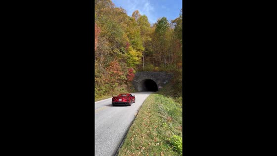 Peak fall colors light up the Blue Ridge Parkway in Asheville, North Carolina, USA