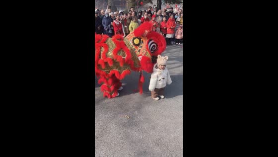 Playful encounter: child and lion dance surprise