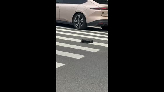 Robot vacuum spotted roaming in pedestrian lane in Zhejiang, China