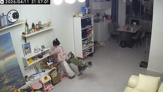 Cat startles girl during playful moment at home in Zhejiang, China