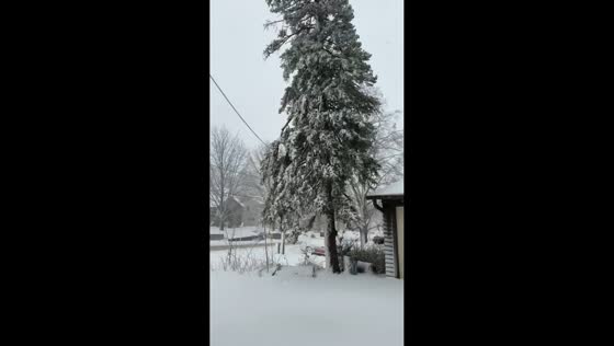 Blizzard pounds with heavy snow and damaging winds in Omaha, Nebraska, USA