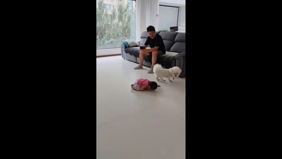 Dog accidentally bumps into toddler during funny home moment in Liaoning, China