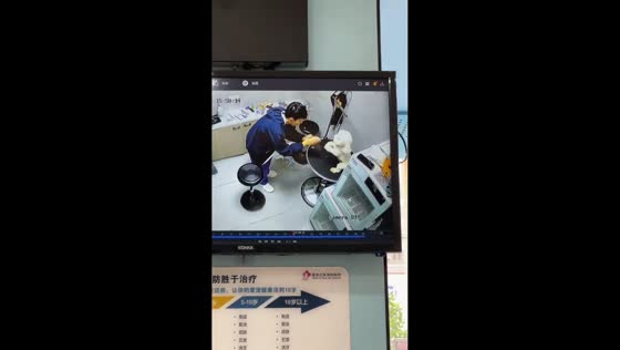 Dog makes pleading gesture at vet clinic in Shandong Province, China