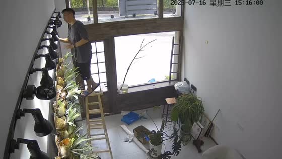Man falls from ladder while checking wall fan in Zhejiang, China