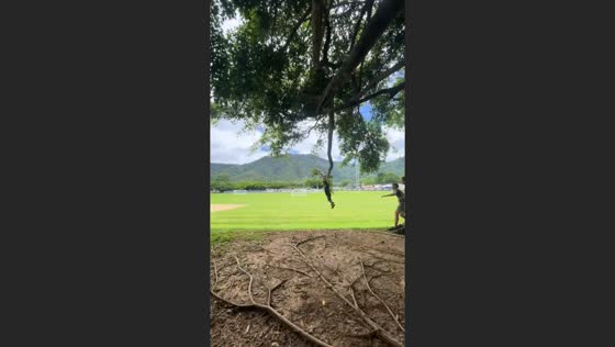 Boy gets launched into the air by tree branch in Cairns, Australia