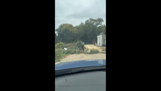 Hilarious fall while helping move fallen tree in Guangdong, China