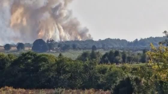 Massive wildfire burns through New Forest as firefighters battle blaze in Hampshire, UK