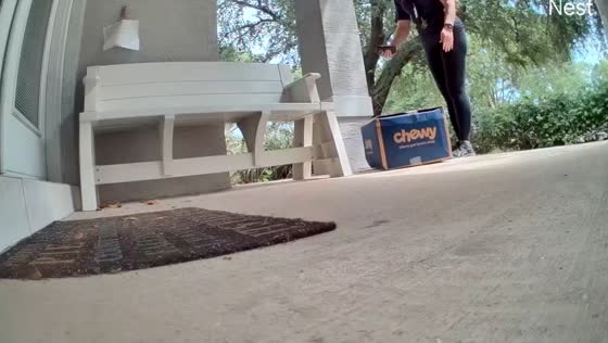 FedEx delivery mishap: Chewy parcel roughly handled, customer upset