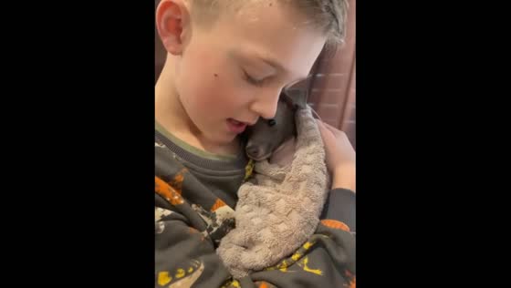 An adorable puppy wrapped in towels is receiving comfort from a little boy