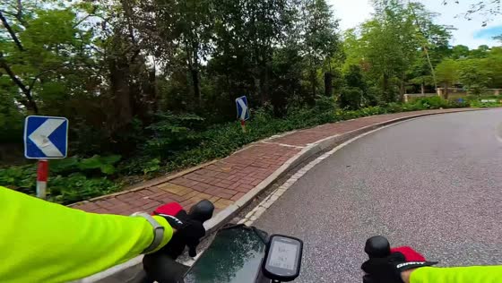 Cyclist loses control and falls into roadside vegetation in Guangdong, China