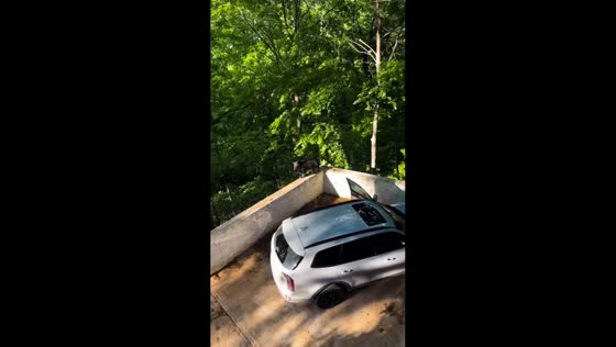 Bear cub opens car door and climbs cabin fence in Gatlinburg, Tennessee, USA
