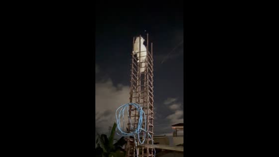 Persian kitten climbs building rebars in Cabancalan, Mandaue, Philippines