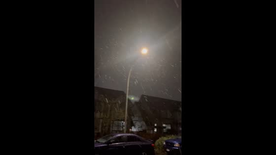 Wet overnight snowfall creates slushy conditions in Langley, Canada