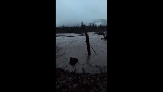 Nisqually River floods during atmospheric river storm in Washington, USA