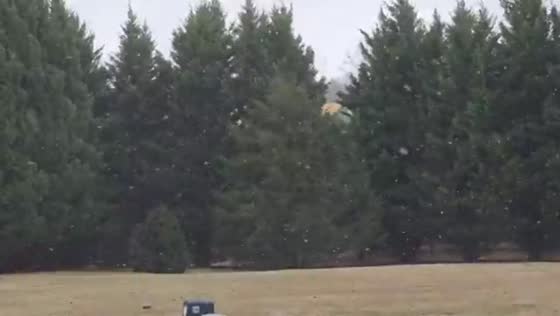 Sudden graupel falls amid windy conditions in Virginia, USA